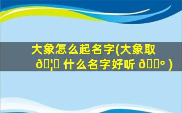 大象怎么起名字(大象取 🦁 什么名字好听 🐺 )